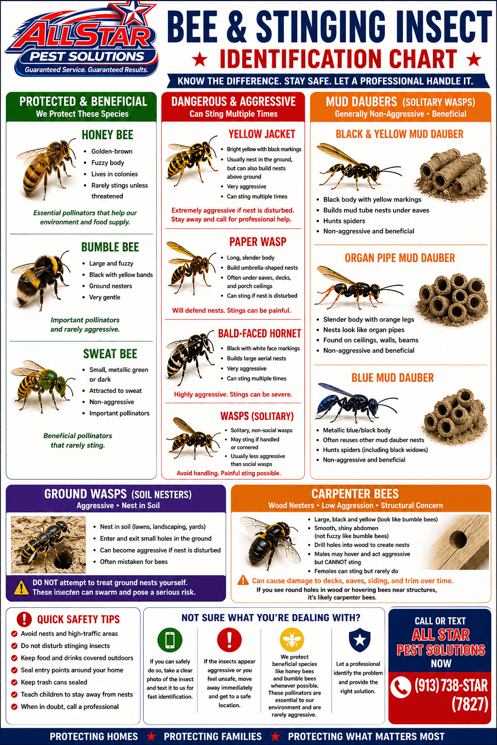 Bee & Stinging Insect Identification Chart