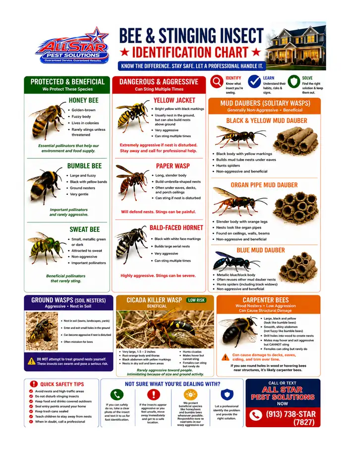 Bee & Stinging Insect Identification Chart from All Star Pest Solutions