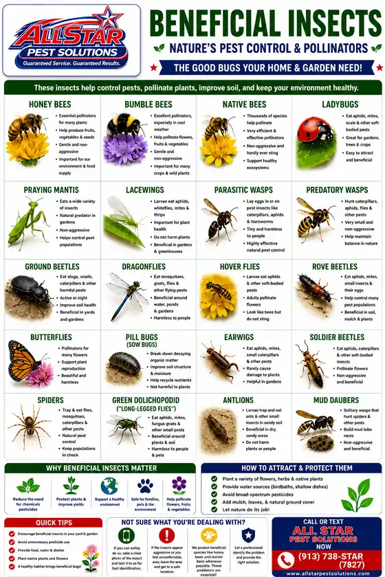 Beneficial Insects Chart from All Star Pest Solutions