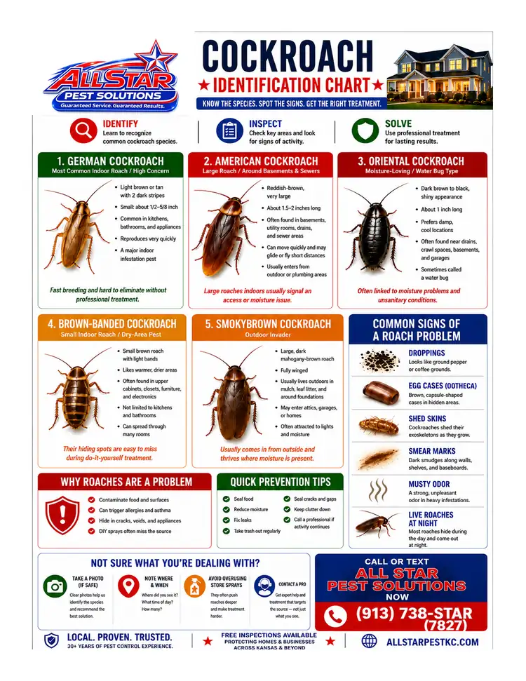 Cockroach Identification Chart from All Star Pest Solutions