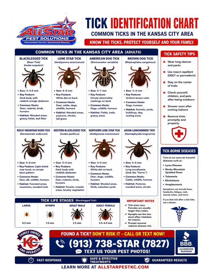 Tick Identification Chart from All Star Pest Solutions