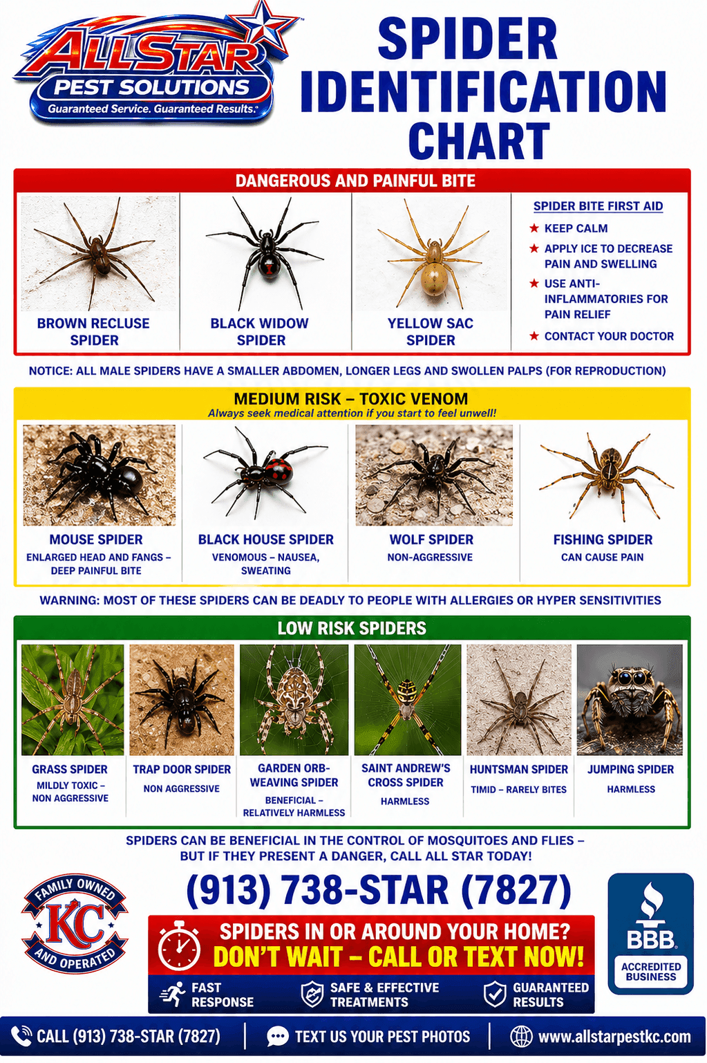 Spider Identification Chart