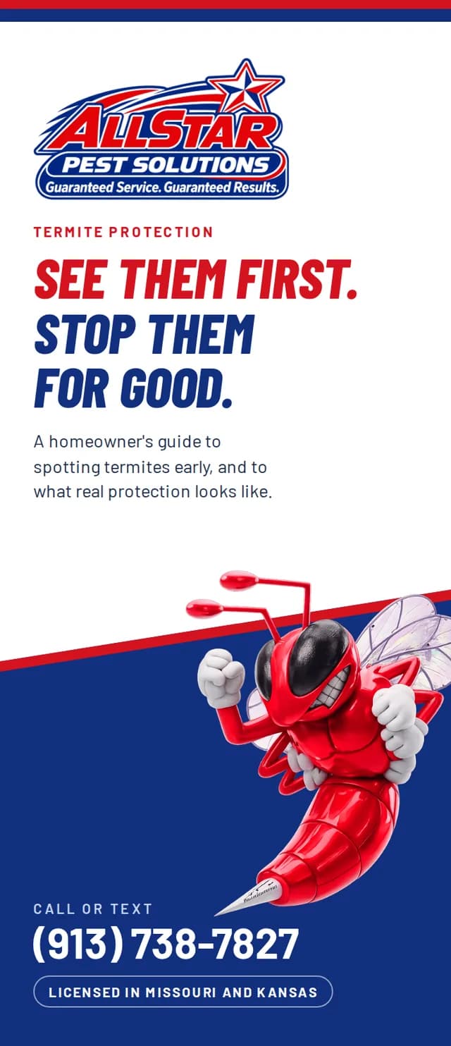 Termite Protection brochure cover — All Star Pest Solutions