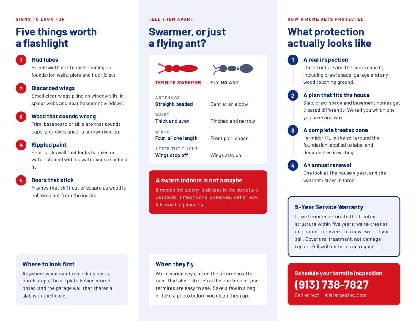 Termite Protection brochure, inside face: three panels read left to right