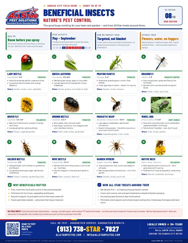 Beneficial Insects Chart from All Star Pest Solutions — Kansas City Field Guide