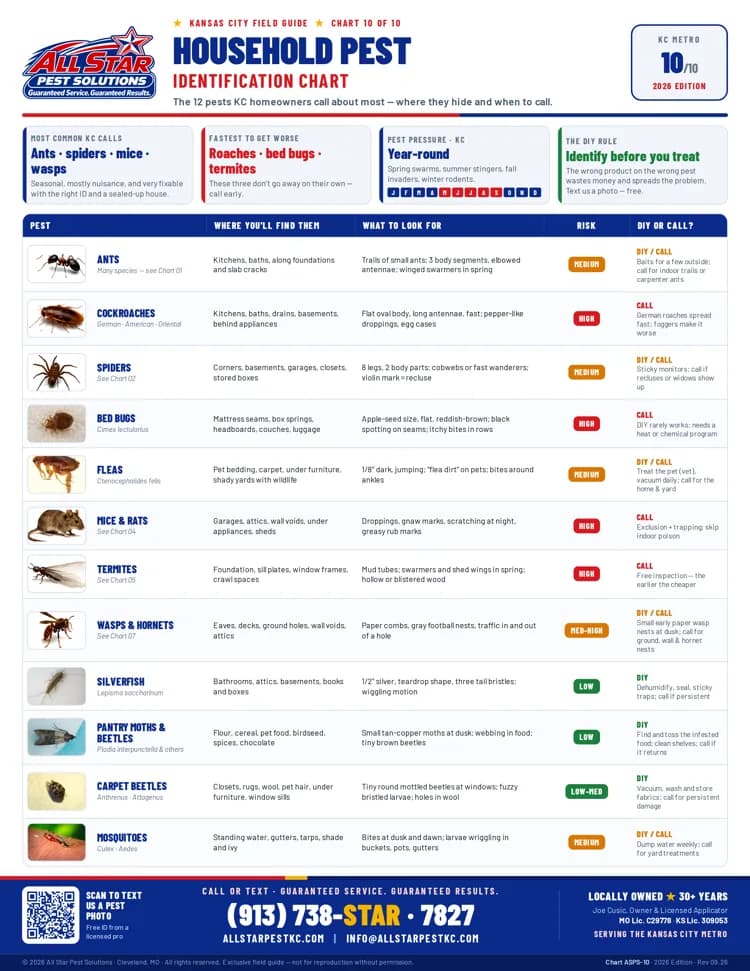 Household Pest Identification Chart from All Star Pest Solutions — Kansas City Field Guide